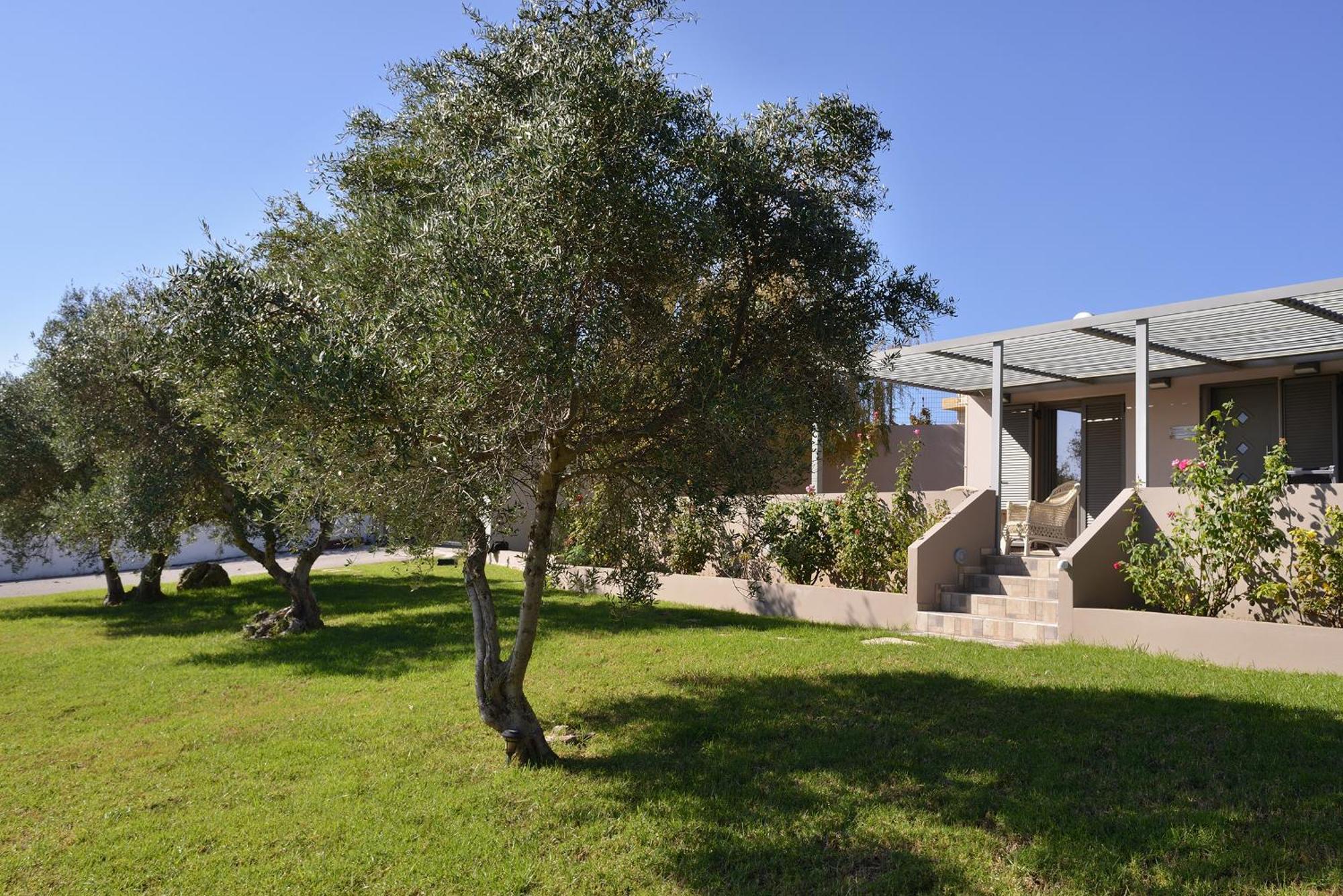 Alexandra'S Garden Houses Stalos Exterior photo